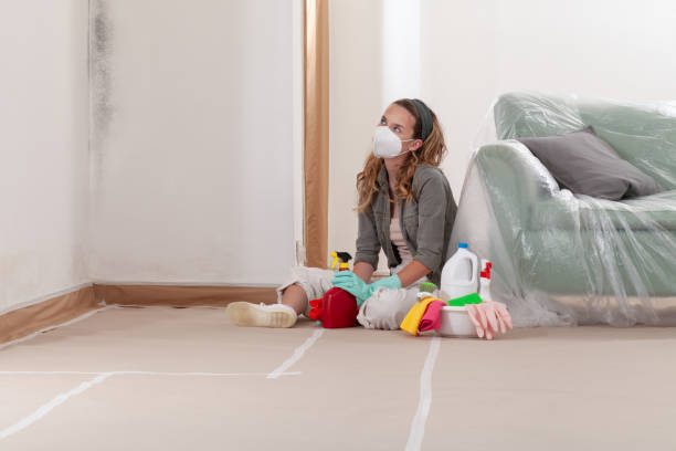 Reliable Black Mold Remediation contractor in Ashton, MD by Mold Remediation HQ